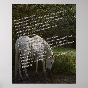 Poster Quando eu for um Horsewoman idoso III