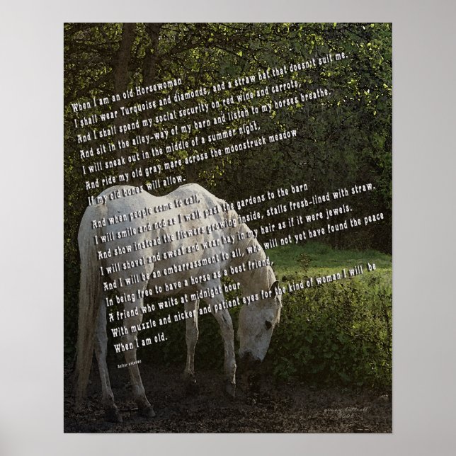 Poster Quando eu sou uma Velho Cavaleiro III (Frente)