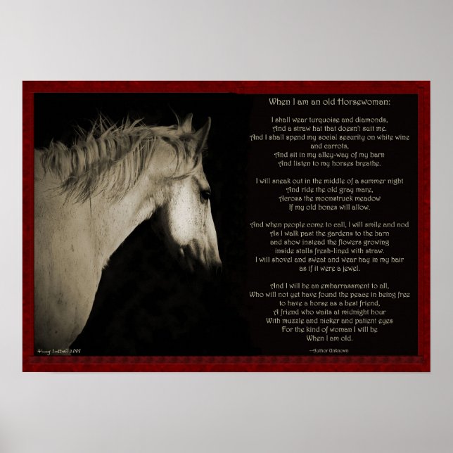 Póster Quando sou uma velha cavaleira (Frente)