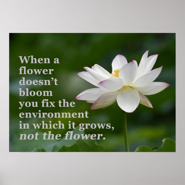 Poster Quando um Cartaz de Flor Não Floresce (Frente)