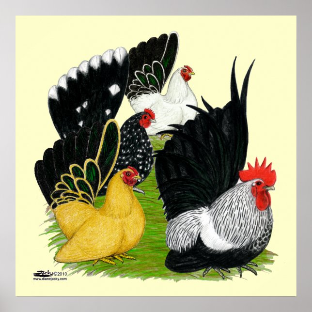 Poster Quarteto Bantam Japonês (Frente)