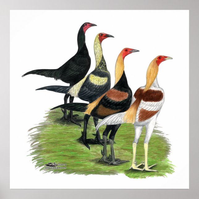 Póster Quarteto de Jogos Modernos (Frente)