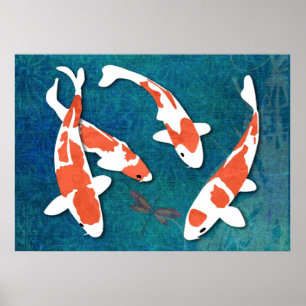 Póster Quarteto de Kohaku alaranjado & branco Koi