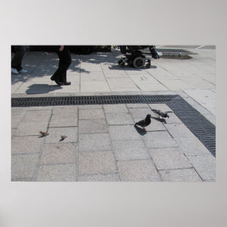 Poster Quarto para todos!