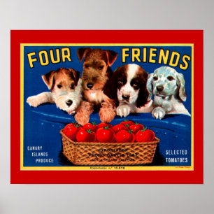 Póster Quatro amigos