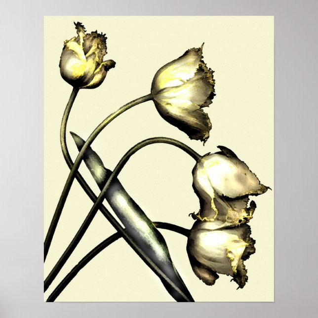 Póster Quatro tulipas n.o 2 (Frente)