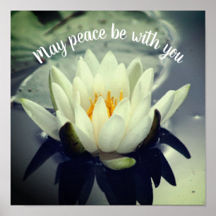 Poster Que a Paz Esteja Com Você Lotus Inspirador