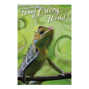 Póster Que mundo maluco - Um Lizard especial