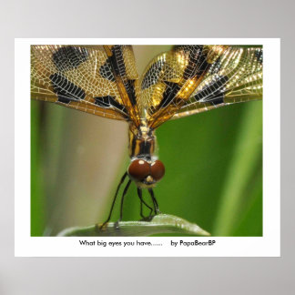 Póster Que olhos grandes você tem...... ...