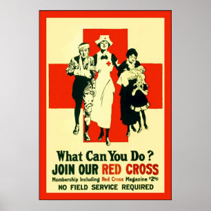 Póster Que pode você fazer? ~ WW1 da enfermeira do
