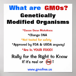 Poster - que são GMOs?