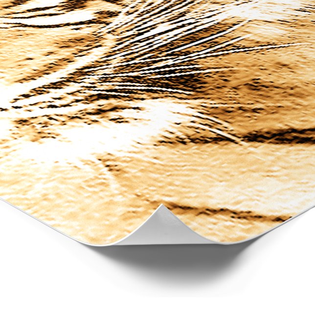 Póster Quebra_ (Borda)