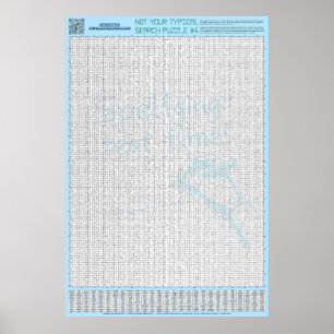 Poster QUEBRA-CABEÇA nº 4: Erro ortográfico - Padrão