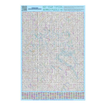 QUEBRA-CABEÇA nº 4: Erro ortográfico - solução pad