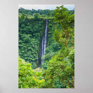 Poster Quebra De Água De Papapapaitai Na Selva