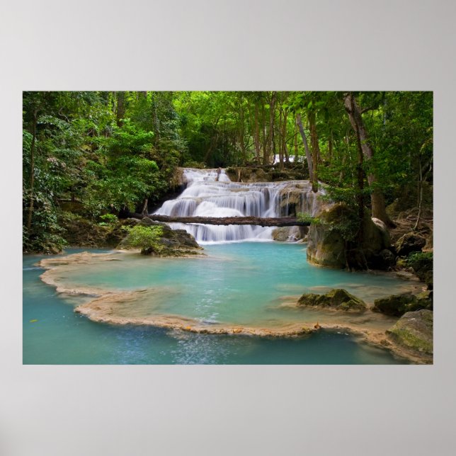 Póster Quebra de água na Floresta Tropical (Frente)