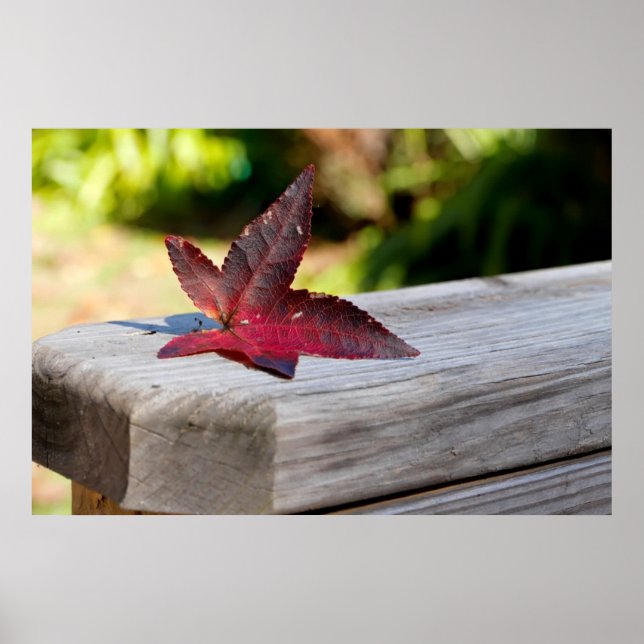 Póster Queda (Frente)