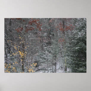 Poster Queda antes do inverno