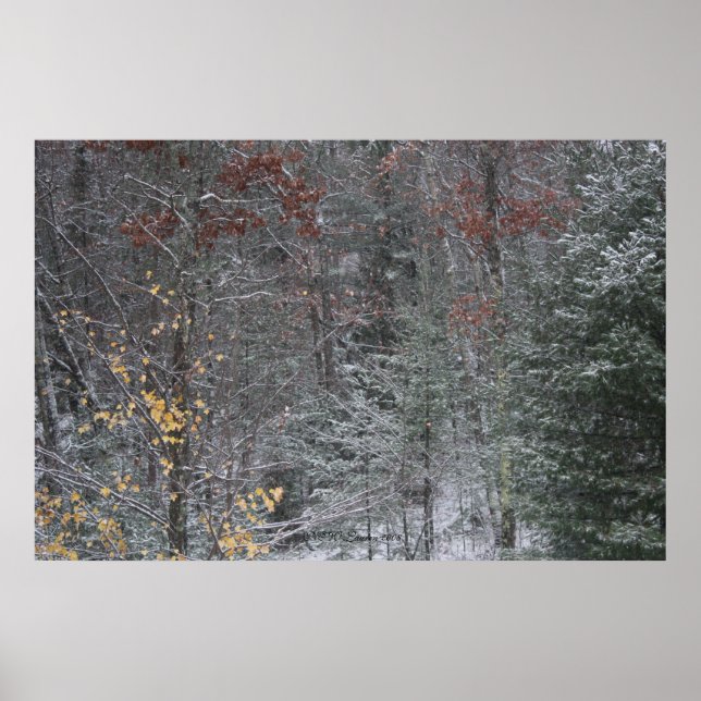 Poster Queda Antes Do Inverno (Frente)