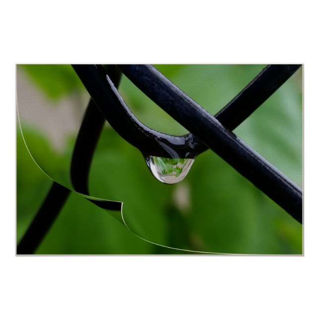 Póster Queda de chuva (Frente)