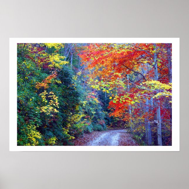 Poster Queda de Ga (Frente)