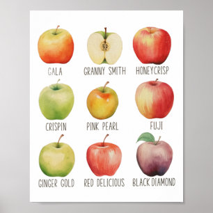 Poster Queda de Maçã-Maçã-Maçã-Maçã-Maçã-Fazenda De-Maçã-