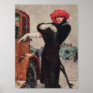 Poster queda de neve