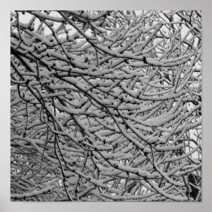 Póster Queda de neve de Shreveport
