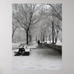 Póster Queda de neve em Montreal, Quebeque