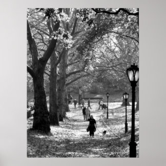 Póster Queda no Central Park 06 25