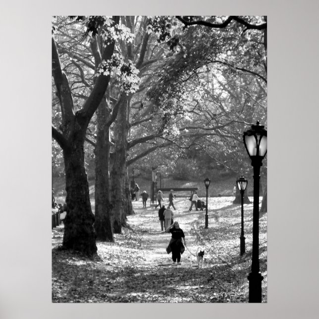 Póster Queda no Central Park 06 25 (Frente)