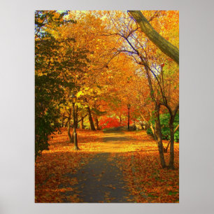 Poster Queda no Central Park 06 27