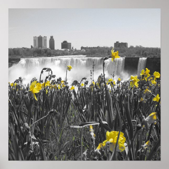 Póster Quedas (Frente)