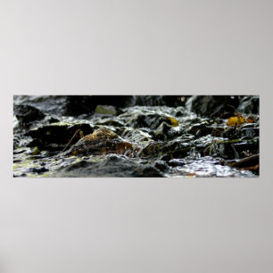 Póster Quedas das obrigações - Península superior