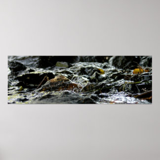 Póster Quedas das obrigações - Península superior