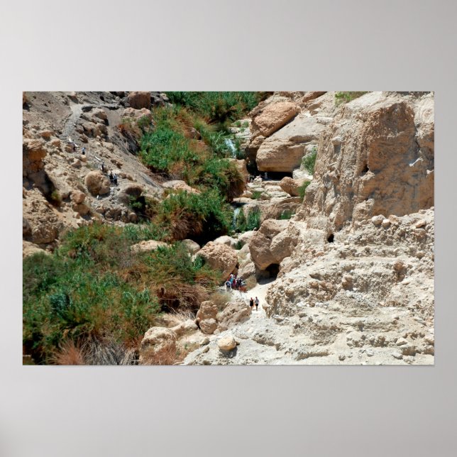 Poster Quedas de água de Ein Gedi no Deserto Judaico, Isr (Frente)