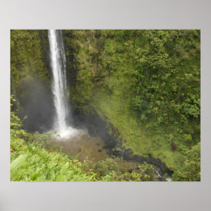 Póster Quedas de Akaka, Costa de Hamakua, Ilha do Havaí,
