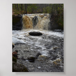 Poster Quedas de Cerveja Raiz