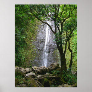 Póster Quedas de Manoa, O'ahu, Hawai'i