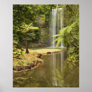 Póster Quedas de Millaa Millaa, Tableland de Atherton