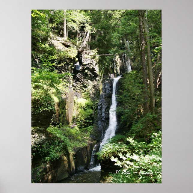 Póster Quedas de Thread de Prata (Frente)