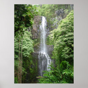 Póster Quedas de Waimea, Hana, Maui, Havaí