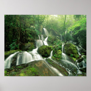 Póster Quedas do louro, Tennessee