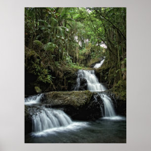 PÓSTER QUEDAS DO ONOMEA DE HAVAÍ