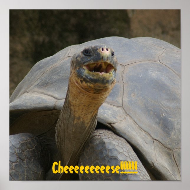 Poster Queijo!!!!!!!! (Frente)