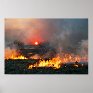 Poster Queimada da pradaria do Kansas ao pôr do sol