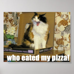 Poster quem comeu minha pizza? Meme Gato Engraçado
