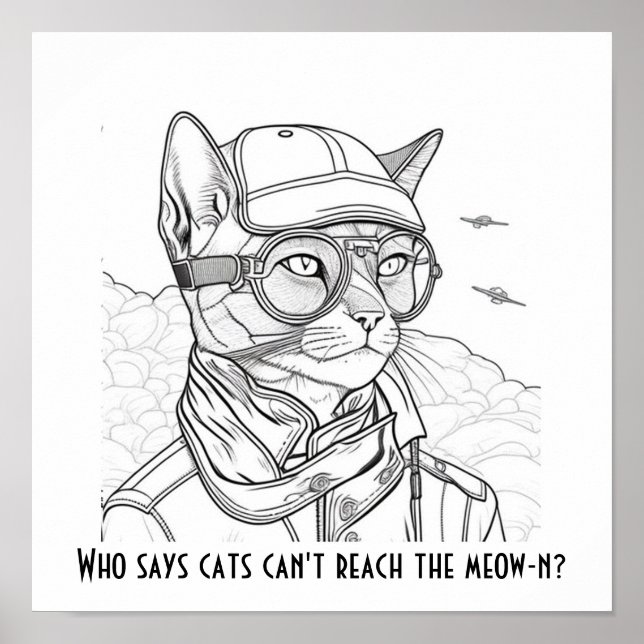 Poster Quem disse que os gatos não conseguem alcançar o m (Frente)