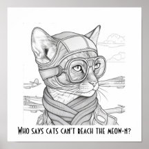 Quem disse que os gatos não conseguem alcançar o m