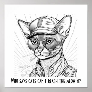 Poster Quem disse que os gatos não conseguem alcançar o m